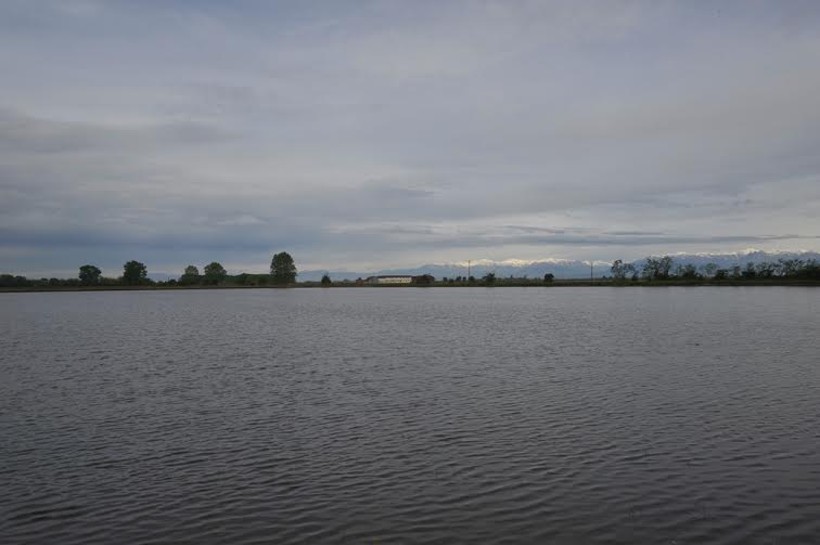 Elena Franco - Archivi e Paesaggi della Cura nella Pianura Padana